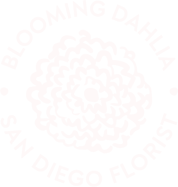 Blooming Dahlia