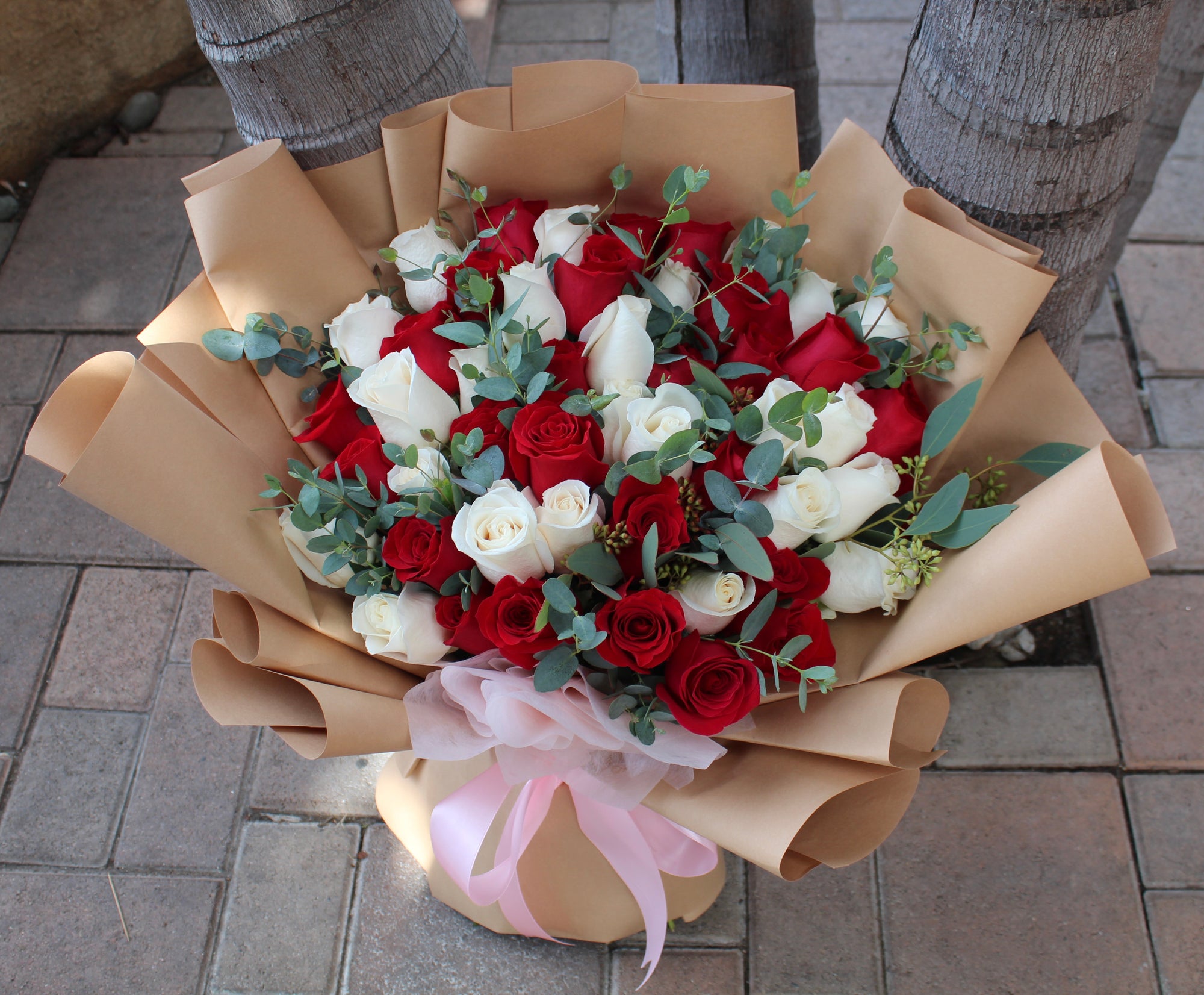 Array of Red and White Roses